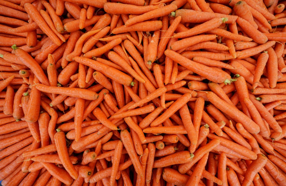 market-price-of-carrots-today-in-jalore