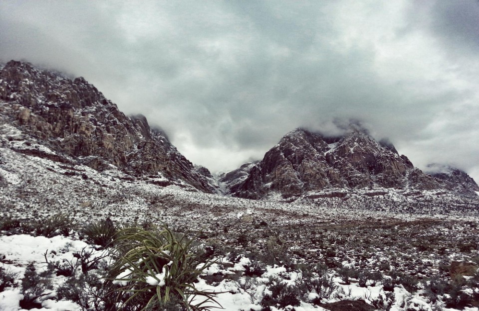 उत्तर-भारत-में-ठंड-का-कहर-जारी उत्तर-भारत-में-ठंड-का-कहर-जारी