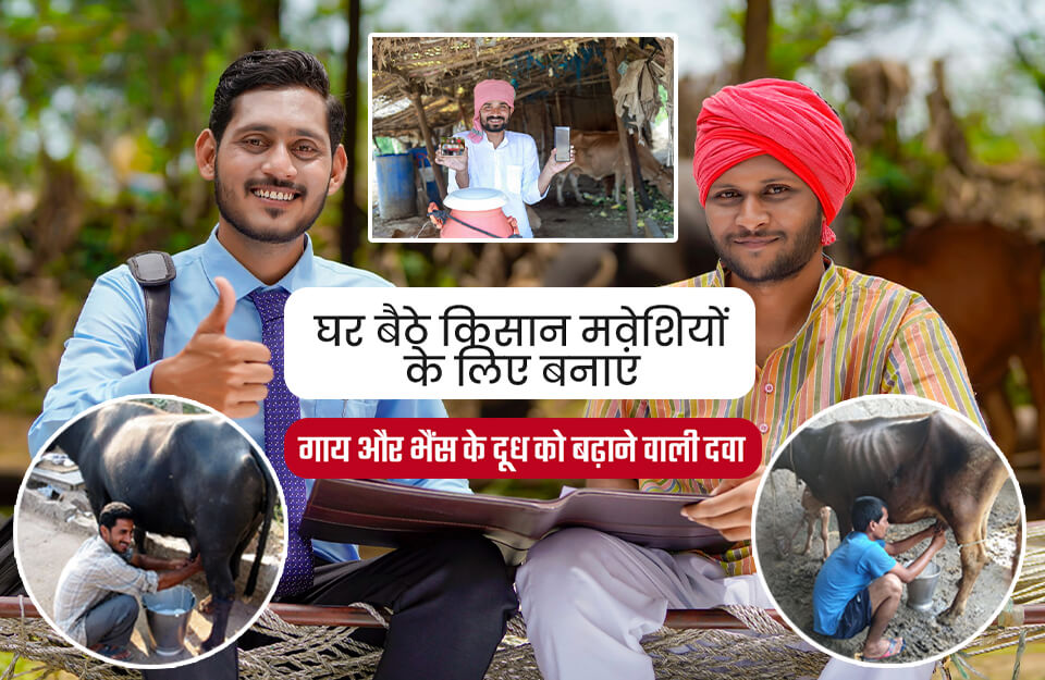घर-बैठे-किसान-मवेशियों-के-लिए-बनाएं-दूध-बढ़ाने-वाली-दवा