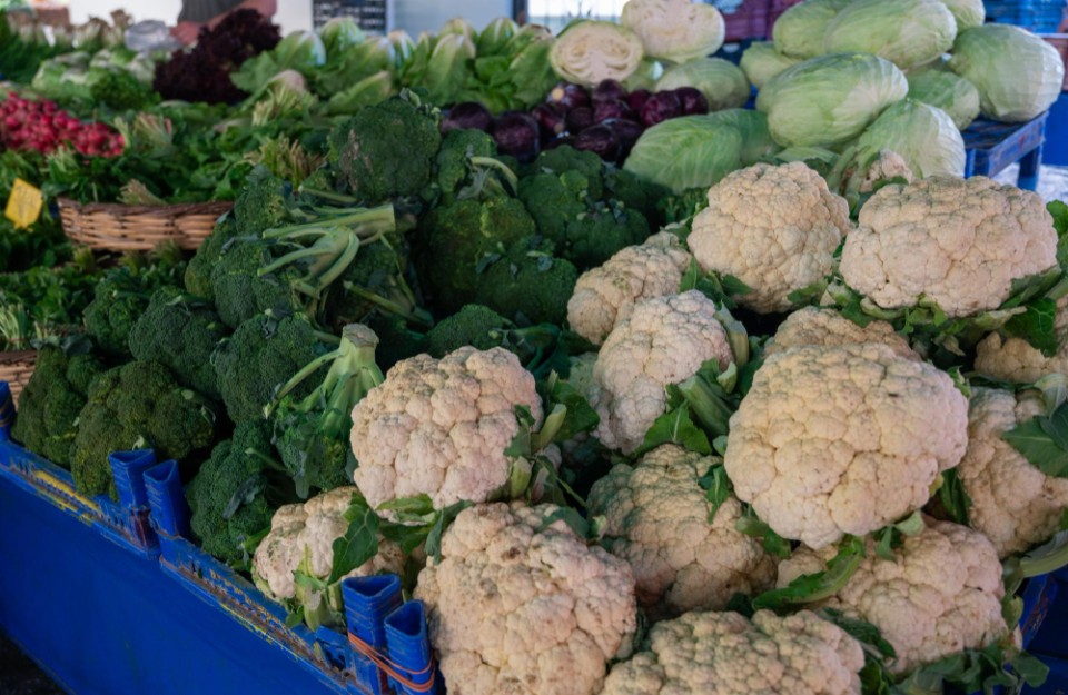 त्तर प्रदेश में पत्तागोभी का मंडी भाव आज का