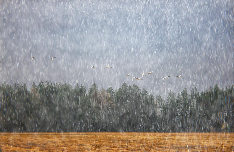 जम्मू-कश्मीर, लद्दाख, में 01 से 05 मार्च को भारी बारिश और बर्फबारी की संभावना, अगले 5 दिनों के लिए मौसम पूर्वानुमान