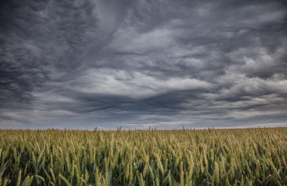 दिल्ली-गाजियाबाद और फरीदाबाद में छाए रहेंगे बादल, आपके शहर में मौसम का हाल कैसा है जानिए