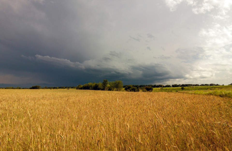13 मार्च को होगी उत्तर प्रदेश में बारिश, जाने दिल्ली समेत अन्य राज्यों का मौसम अपडेट