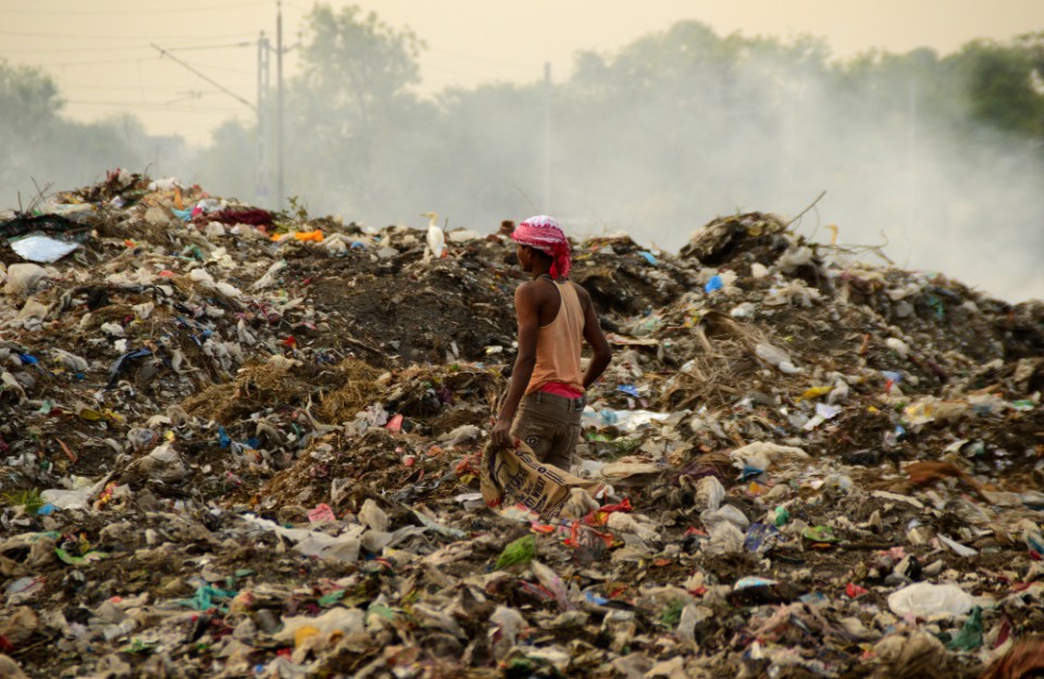 भारत में 5 देश कीटनाशकों और प्लास्टिक से प्रदूषण को रोकेंगे, 379 मिलियन डॉलर के फंड से होगा ये अहम उपाय