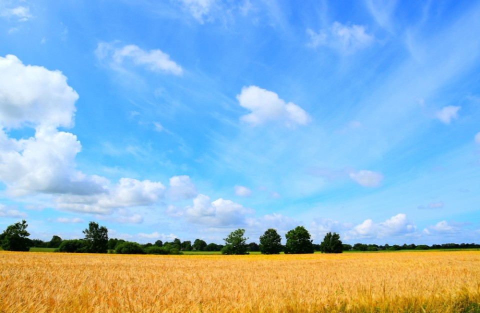 Clear Skies in Delhi, Rising Temperatures Expected, Know The Weather Will be in Delhi and Uttar Pradesh on 18 March 2024