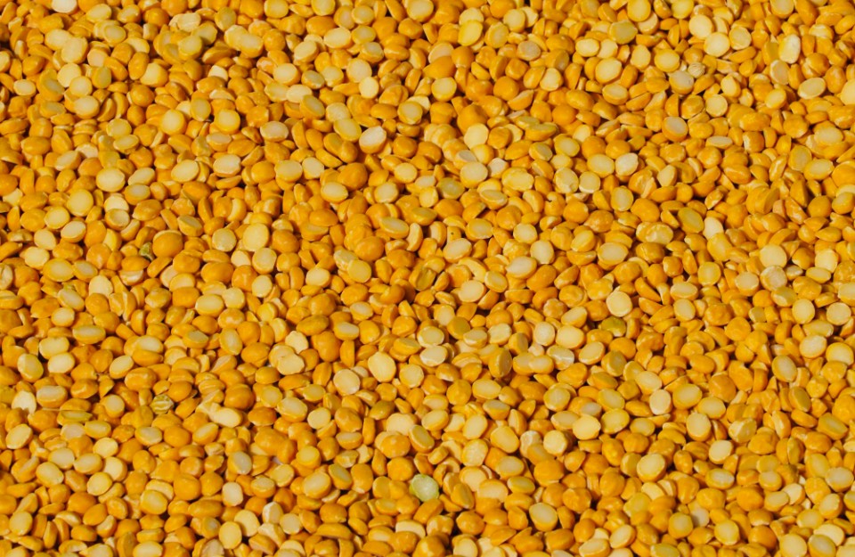 Arhar Dal Market Price Today in Uttar Pradesh on (18 March 2024)