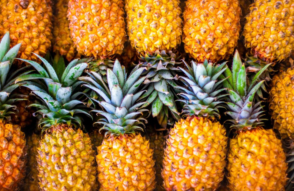 Pineapple Market Rate Today in Various of Delhi, Haryana, Punjab, Rajasthan, and Uttar Pradesh on (19 March 2024)