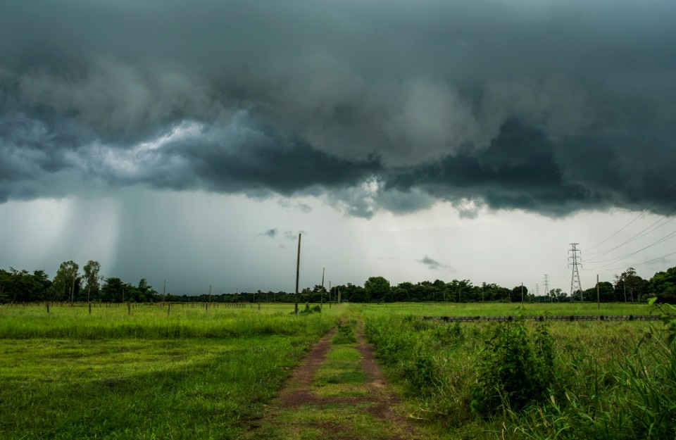 Bihar Weather Update Today 20 March 2024: Rainfall Expected in Bihar, Jharkhand, and Other States Today, IMD Forecast