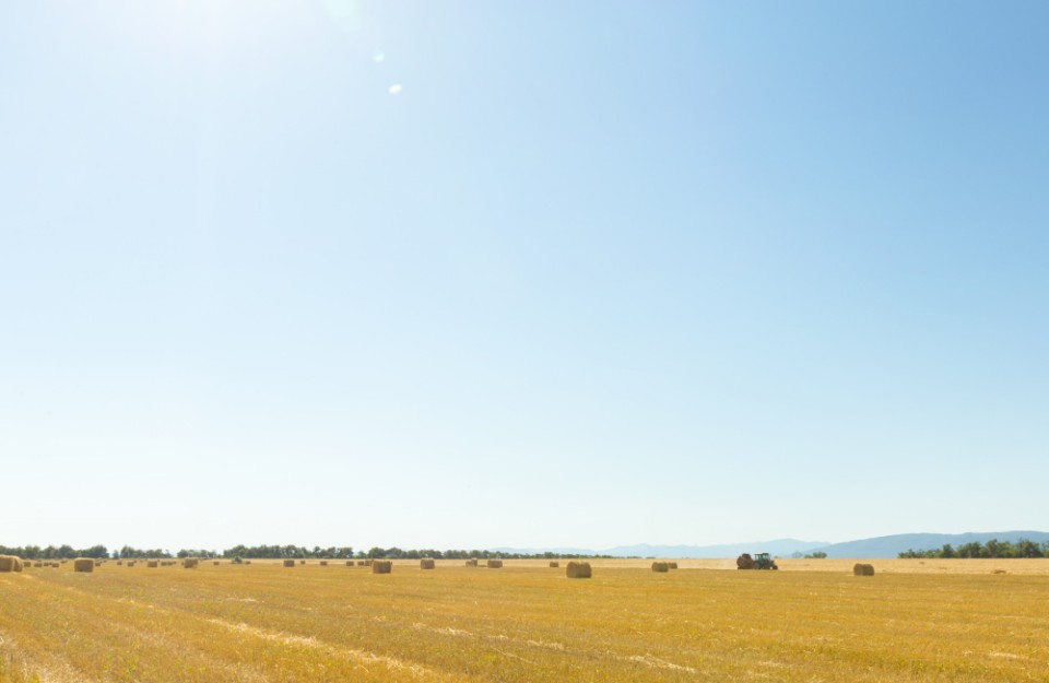 उत्तर प्रदेश और गाजियाबाद में तेज हवाएं, जानें आज के मौसम का हाल