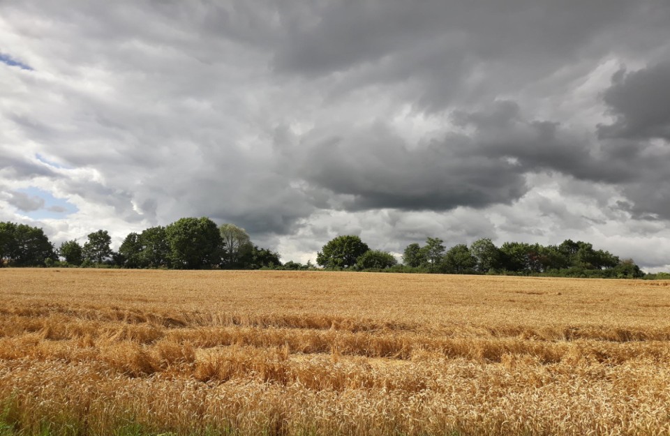 दिल्ली में छाए रहेंगे बादल आइए Khetivyapar पर जानें