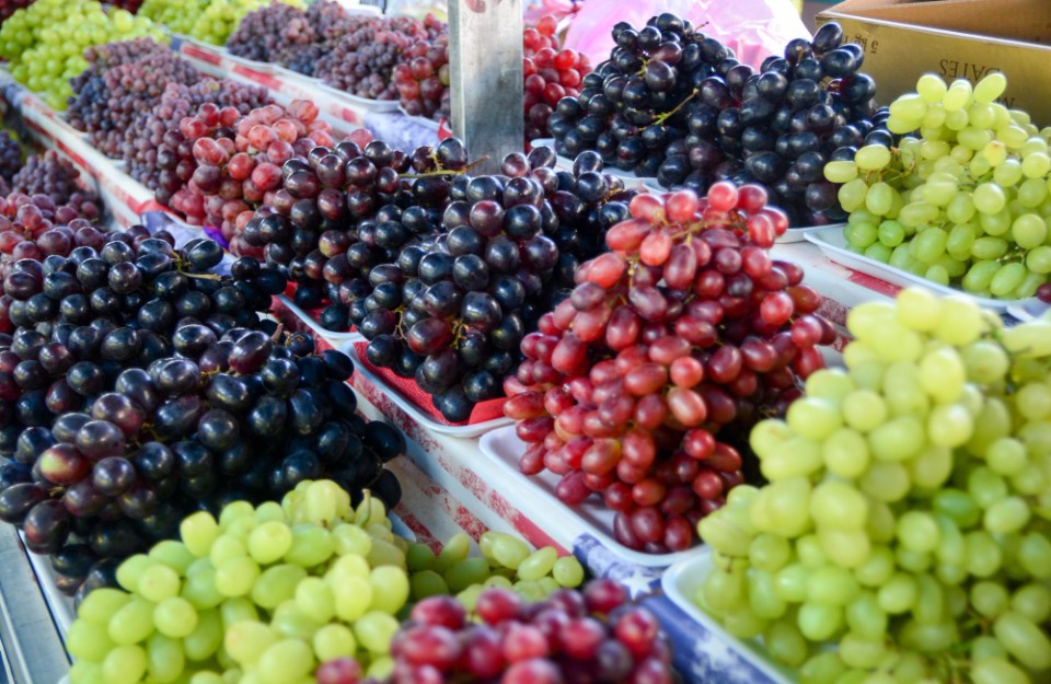 Grapes Market Price Today in Punjab and Uttar Pradesh