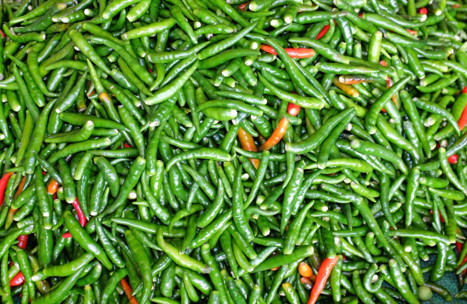 हरी मिर्च का मंडी भाव आज का 04 अप्रैल 2024