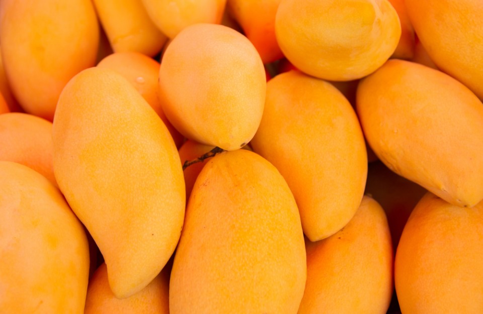 Mango Market Price Today in Delhi and Uttar Pradesh on