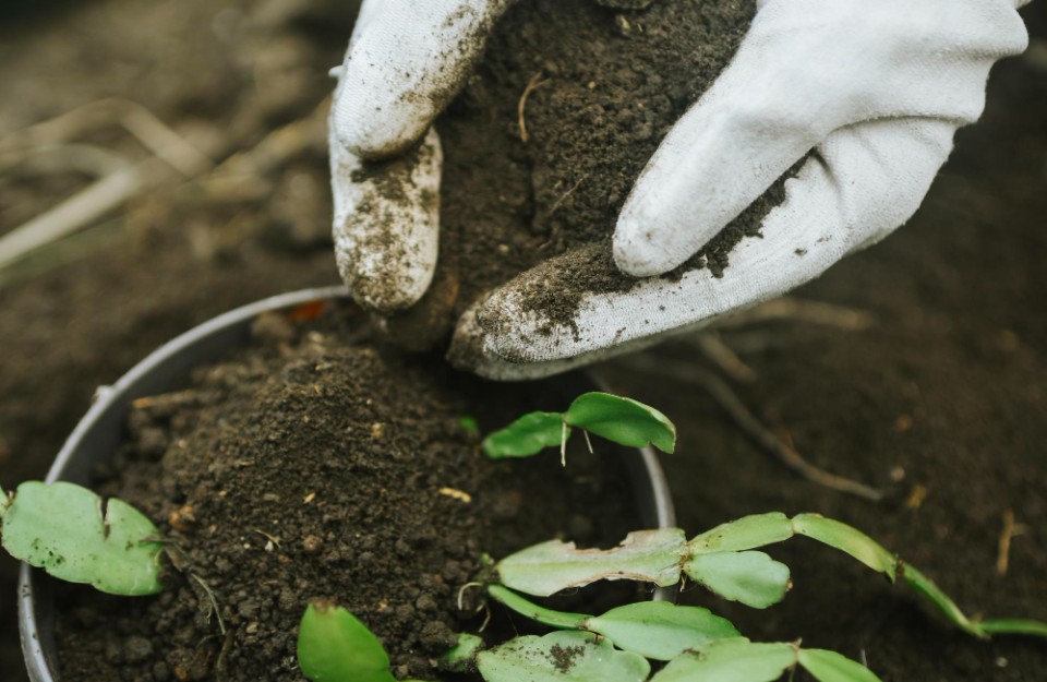 कृषि के लिए सबसे अच्छा उर्वरक कौन सा है इनके कितने प्रकार हैं