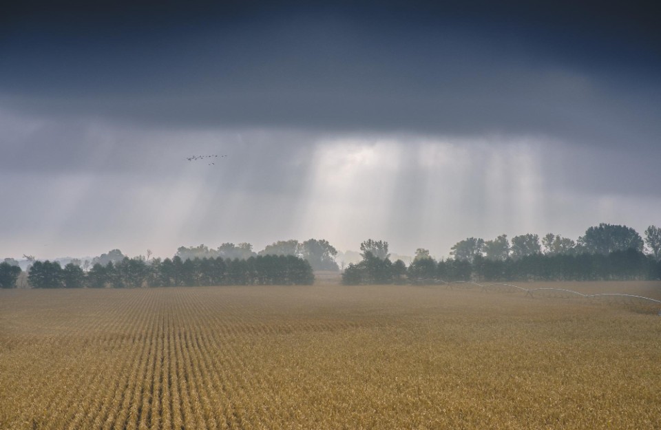Rain Expected in Delhi from April 11, Heatwave Persists in Southern Indian