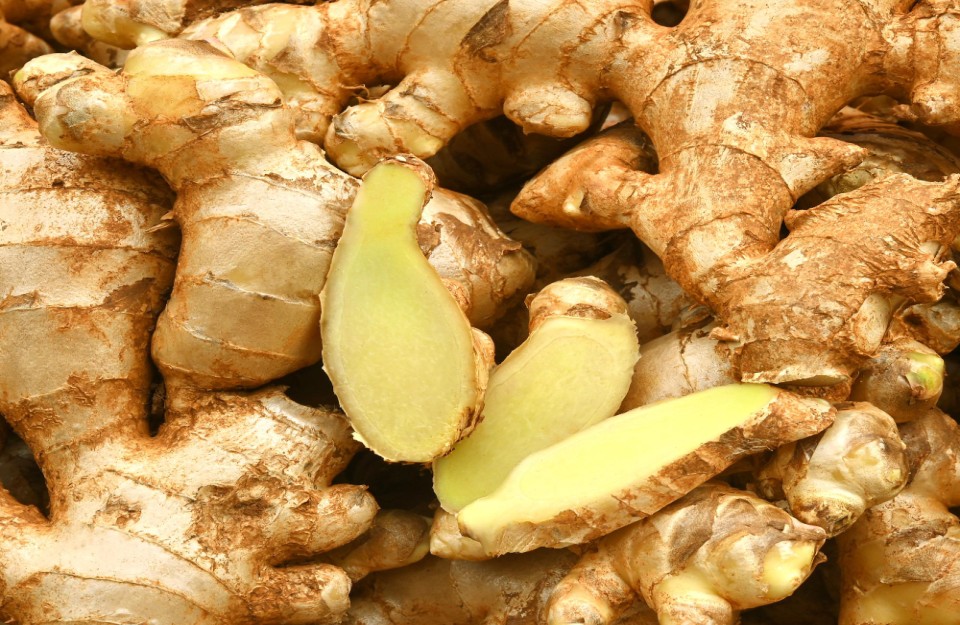 Green Ginger Market Price Today in Delhi and Gujarat on (09 April 2024)