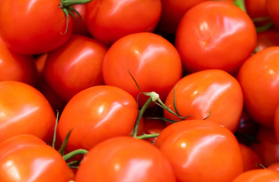 Tomato Market Price Today in Delhi and Rajasthan
