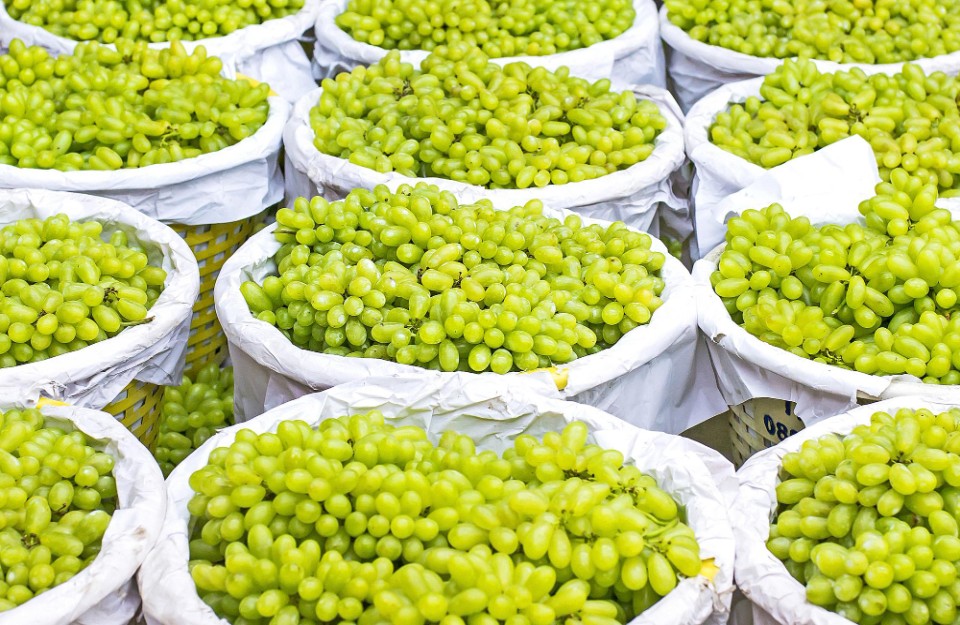 Grape Market Rates in Uttar Pradesh