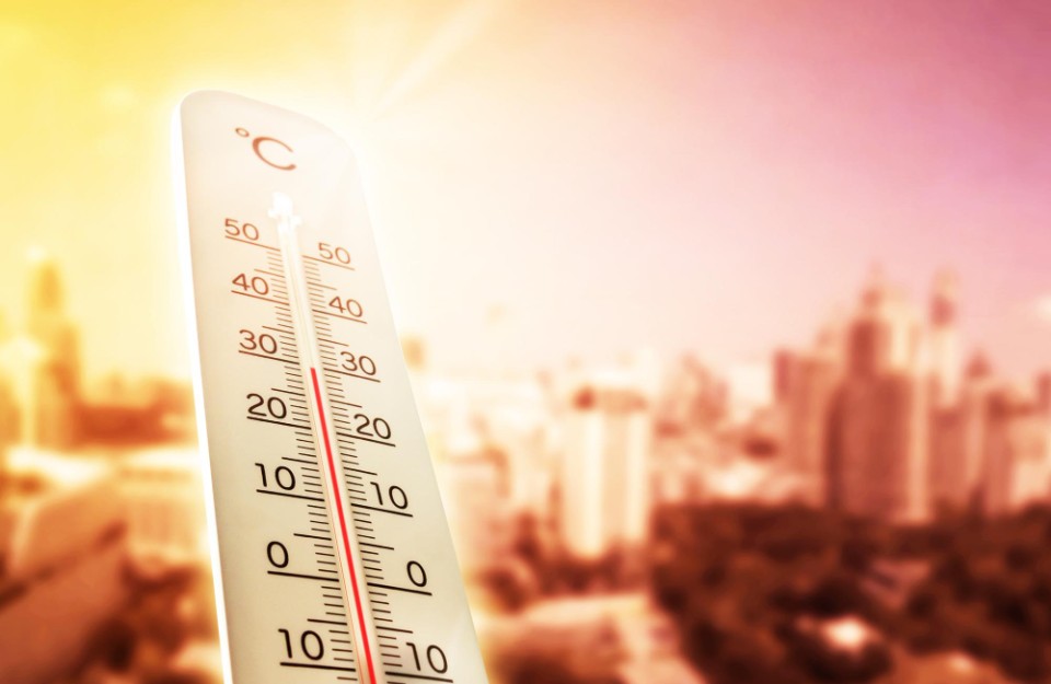 Heatwave to Hit Bihar, Temperature to Cross 40 Degrees in These Cities