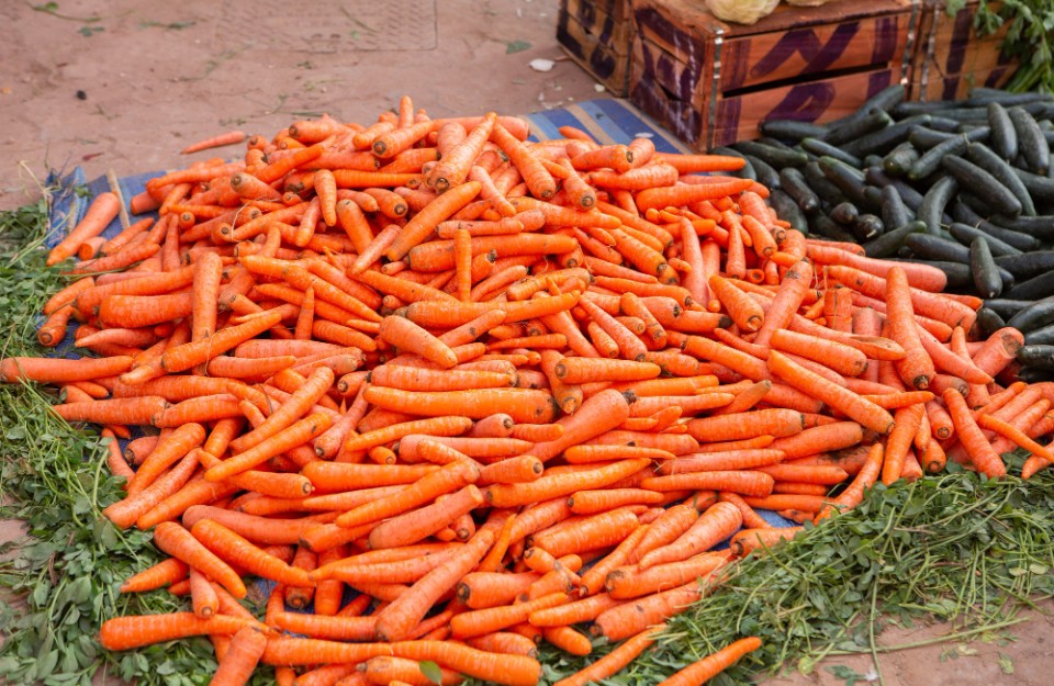 दिल्ली और राजस्थान में गाजर का मंडी भाव आज का