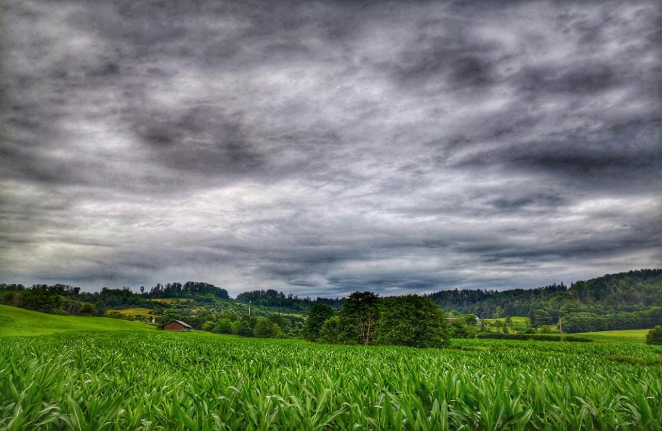 IMD Weather Update Today