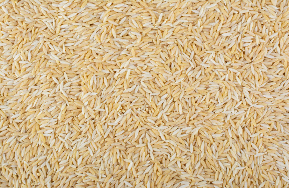 Rice Price Today (25 April 2024) in Madhya Pradesh