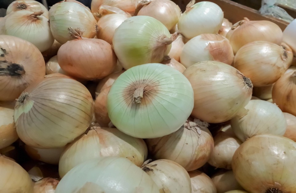 Government has Granted Permission for the Export of 2,000 Metric Tons of White Onions From three Ports