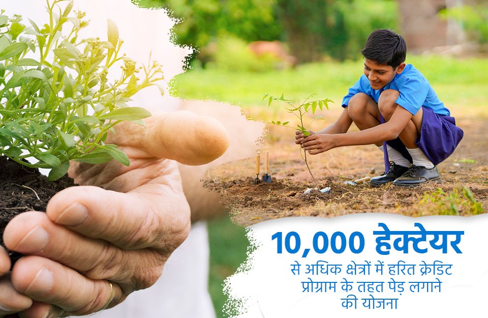 10,000 हेक्टेयर से अधिक क्षेत्रों में हरित क्रेडिट प्रोग्राम के तहत पेड़ लगाने की योजना