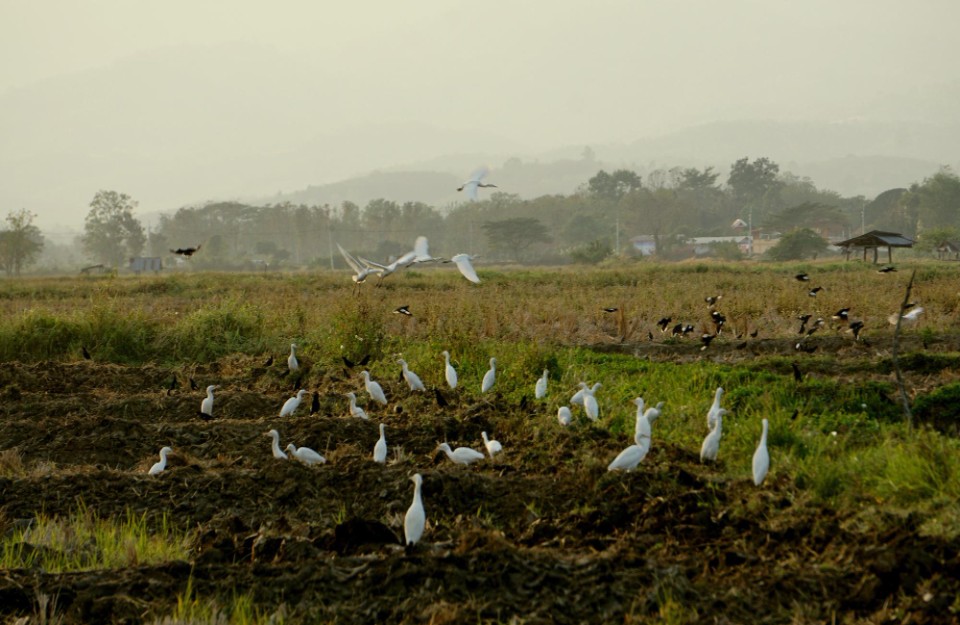 दिल्ली में 4 और 7 मई को होगी बारिश