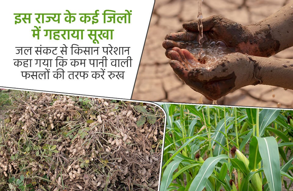 इस राज्य के कई जिलों में गहराया सूखा