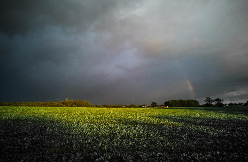दिल्ली में आज बारिश