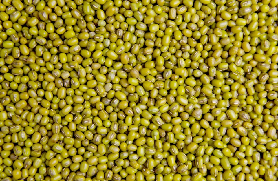 Moong dal rate (05 May 2024) in Madhya pradesh