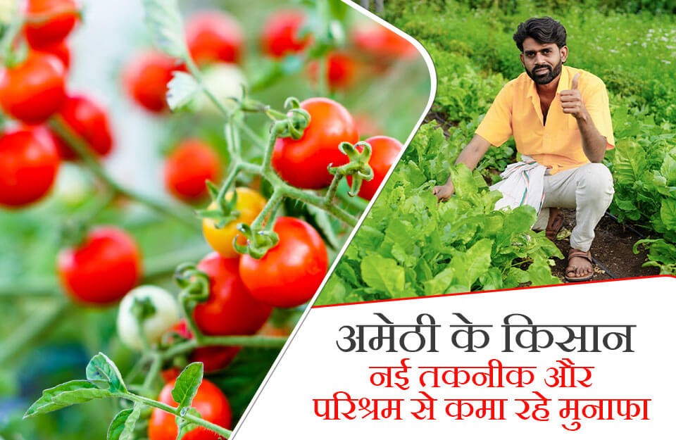 अमेठी के किसान, नई तकनीक और परिश्रम से कमा रहे मुनाफा