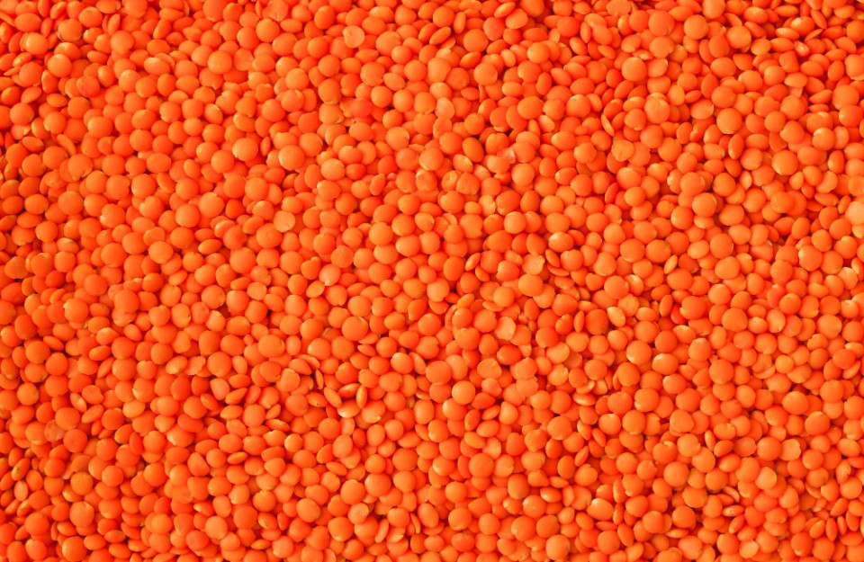 उत्तर प्रदेश में मसूर दाल का मंडी भाव आज का (07 मई 2024)