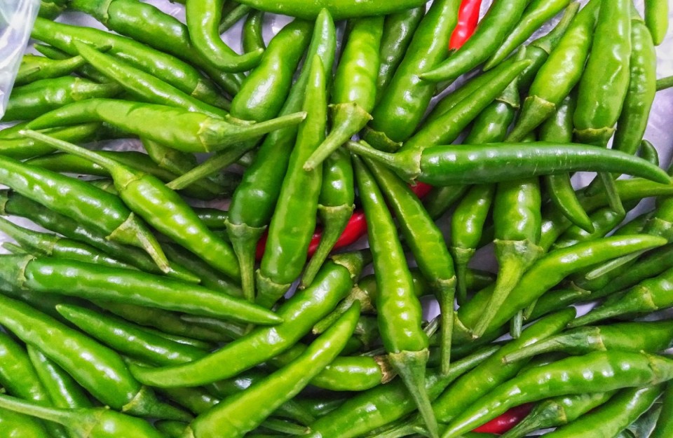 Green Chilli Price (13 May 2024) in Haryana and Rajasthan