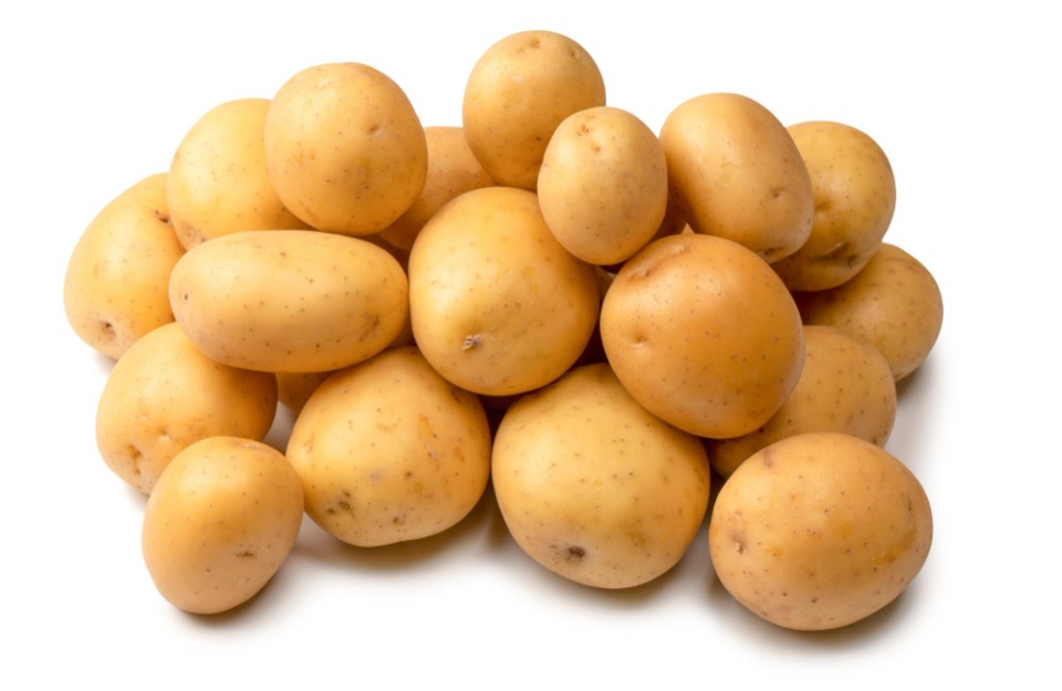 Potato price today (15 May 2024) in Delhi and Madhya Pradesh