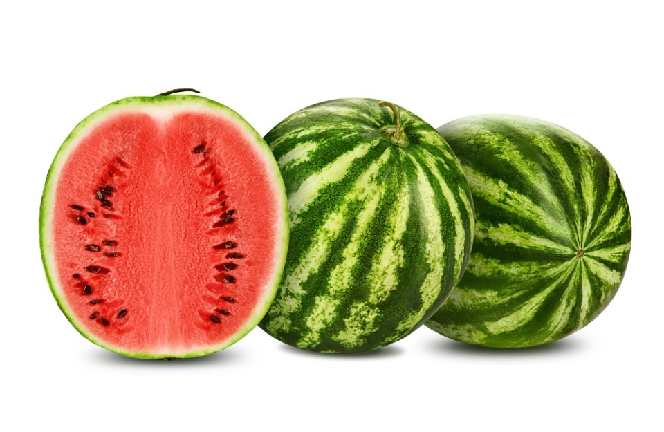 Water Melon Rate Today (15 May 2024) in Delhi, Madhya Pradesh, and Rajasthan