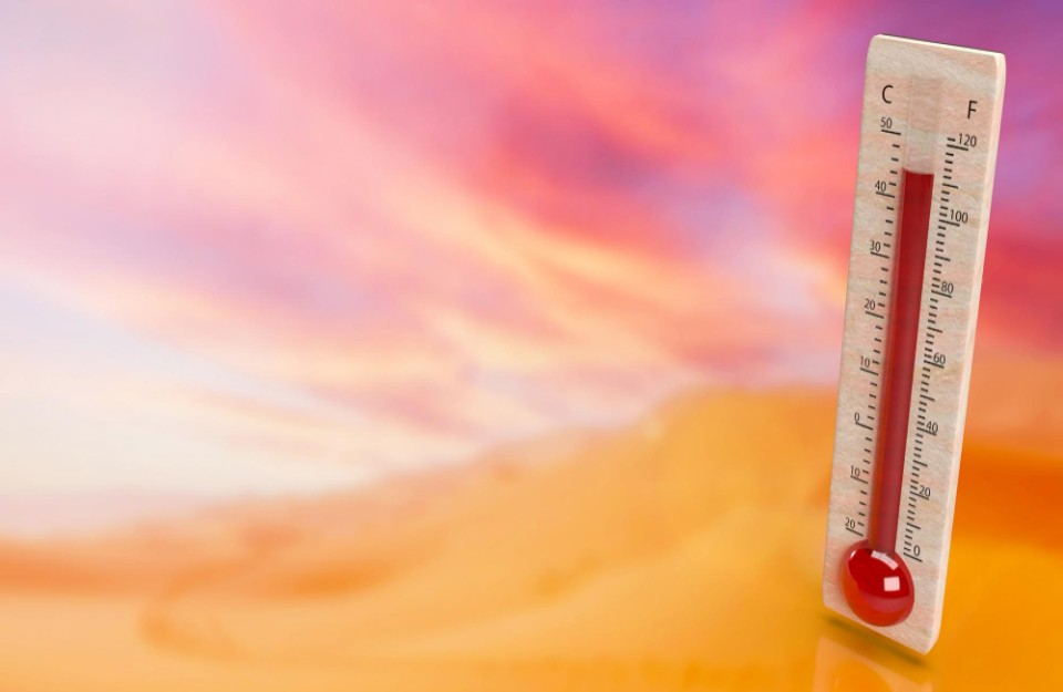 Severe Heatwave Alert issued for Delhi and UP for the Next 5 Days
