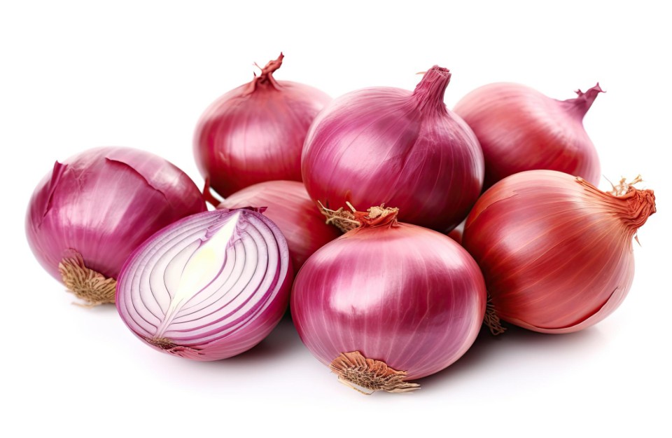 Onion market price today (17 May 2024) in Madhya Pradesh