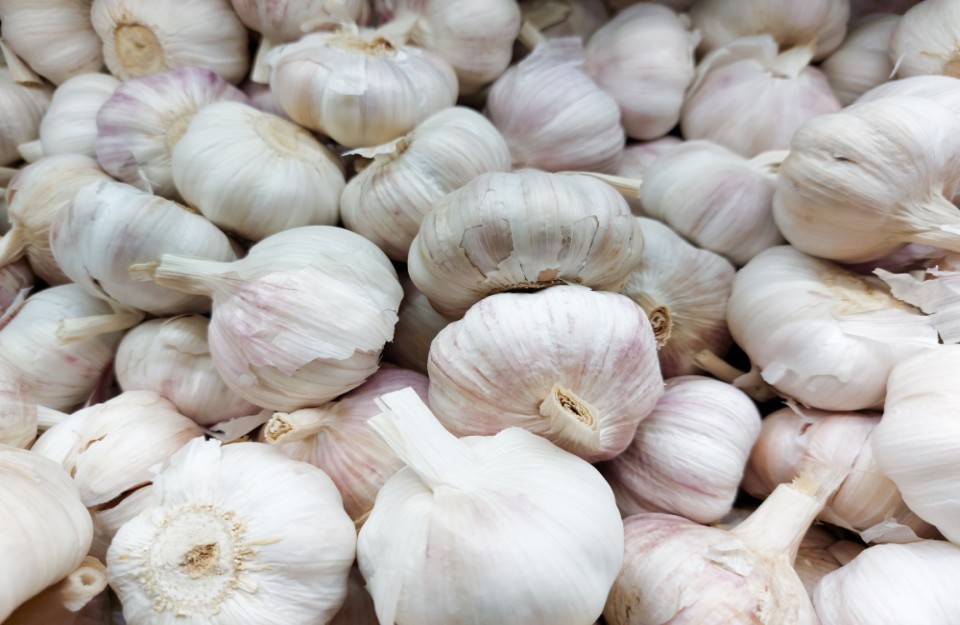 Garlic price today (18 May 2024) in Rajasthan