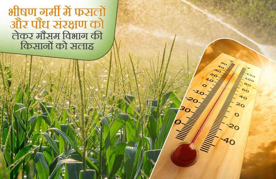 Meteorological Department Advice