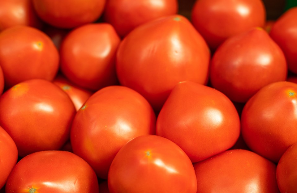 Tomato price today (23 May 2024) in Delhi and Haryana