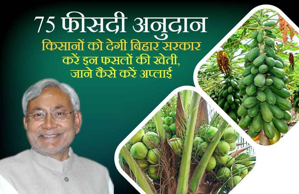 Bihar Government is Providing a 75% Subsidy for Cultivating crops