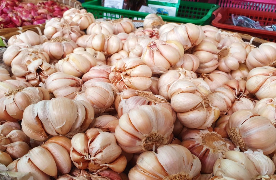 Garlic Prices Today