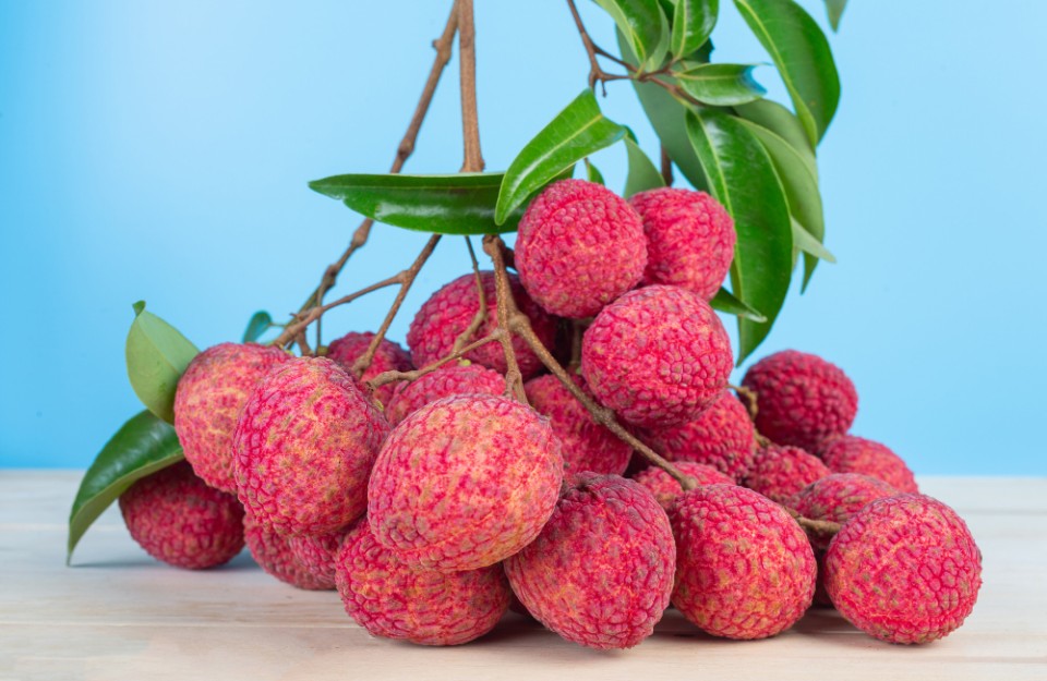 Lychee Price Today