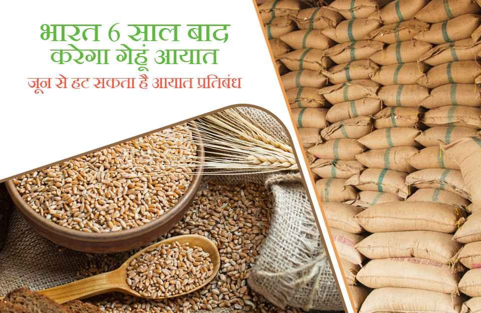 भारत 6 साल बाद करेगा गेहूं आयात