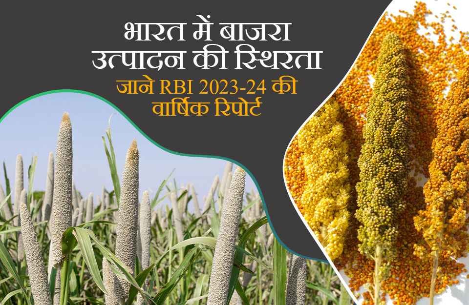 भारत में बाजरा उत्पादन की स्थिरता