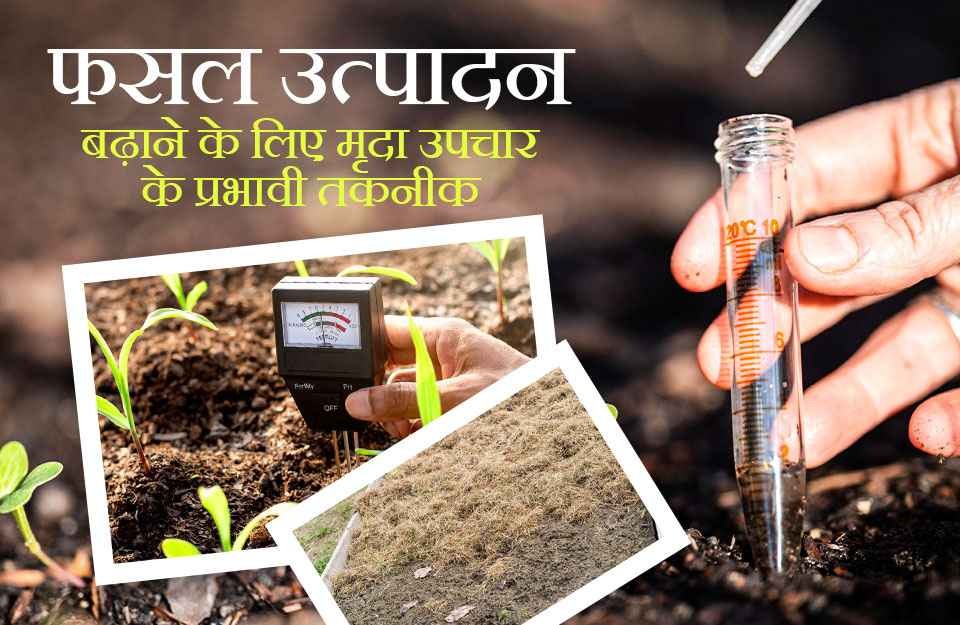फसल उत्पादन बढ़ाने के लिए मृदा उपचार की प्रभावी तकनीक