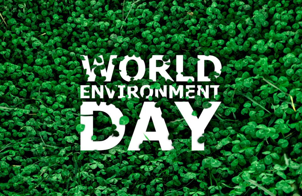 World Environment Day 2024