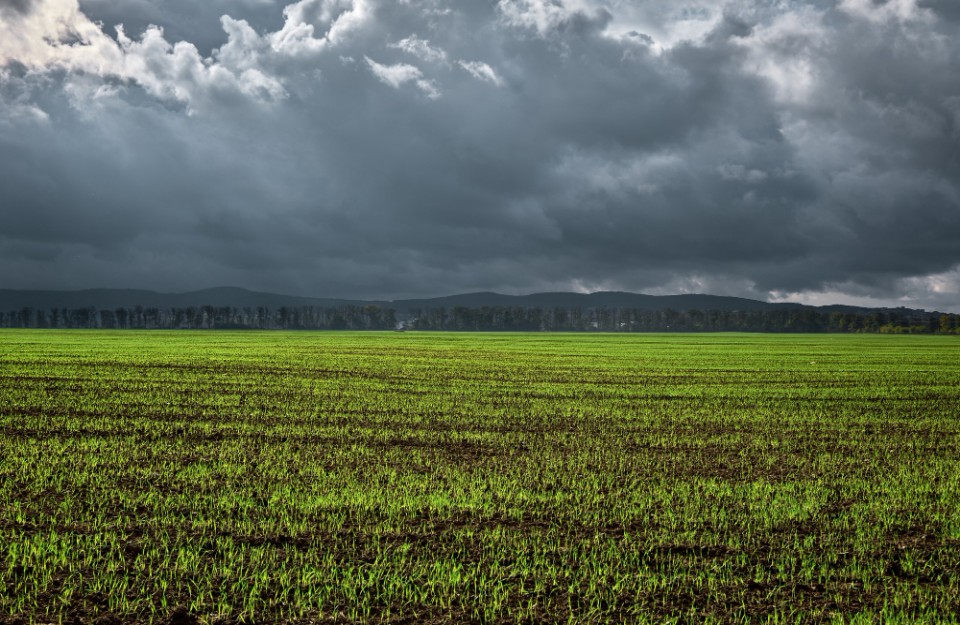 Storm Warnings for Madhya Pradesh